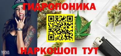 скорость Брянск
