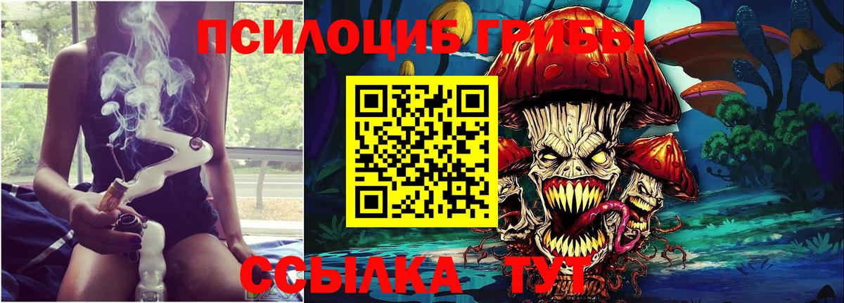 Братск  Галлюциногенные грибы прущие грибы  Галлюциногенные грибы мицелий  Вход с VPN 